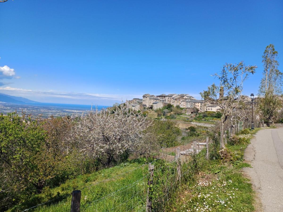 Casa Pernice Penta di Casinca Екстериор снимка